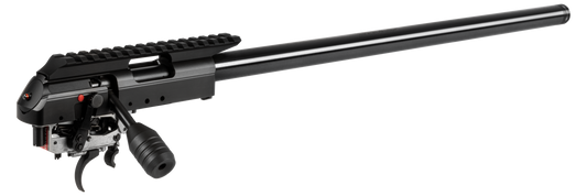 1761 D HB G-28 APR barrelled action cal..22lr (016945)